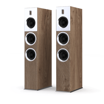 B28 Loudspeaker transparent front Walnut